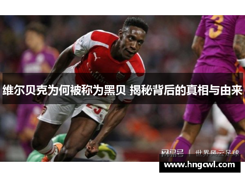 维尔贝克为何被称为黑贝 揭秘背后的真相与由来